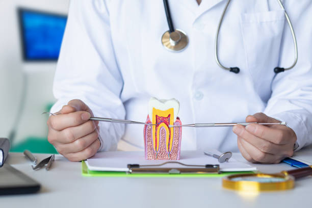 Best Urgent Care for Lost Fillings or Crowns in Brodhead, WI